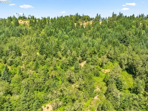 1623 Lower Crest Road Oakland OR 97462