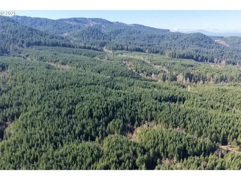 Courtney Creek Drive Brownsville OR 97327