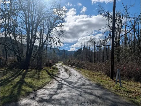 Courtney Creek Drive Brownsville OR 97327