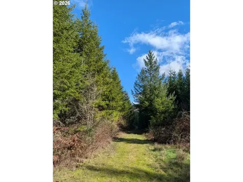 Courtney Creek Drive Brownsville OR 97327