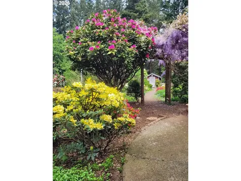 27572 S Kinzy Road Estacada OR 97023