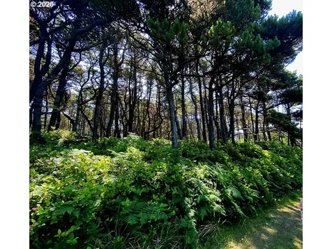 Sea Way Loop Waldport OR 97394