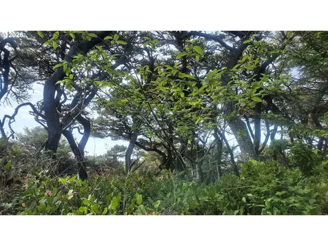 Sea Way Loop Waldport OR 97394