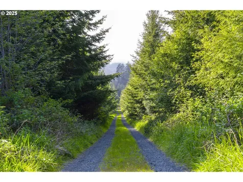0 Elmer Miller Road Siletz OR 97380