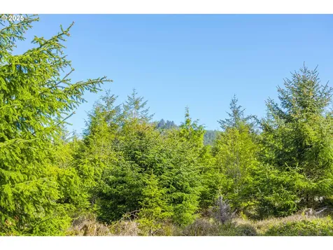 0 Elmer Miller Road Siletz OR 97380