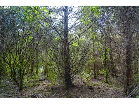 0 Elmer Miller Road Siletz OR 97380