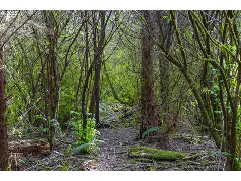 0 Elmer Miller Road Siletz OR 97380