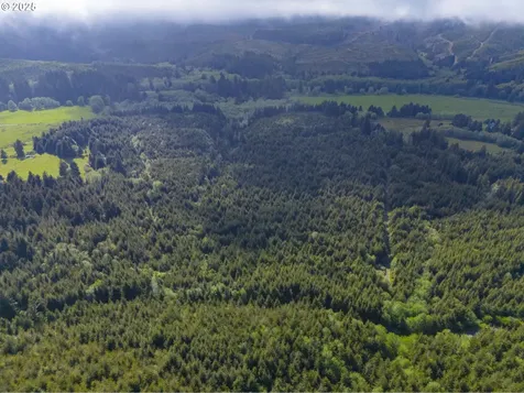 0 Elmer Miller Road Siletz OR 97380