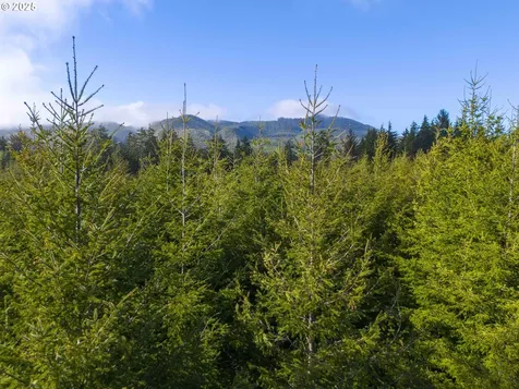 0 Elmer Miller Road Siletz OR 97380
