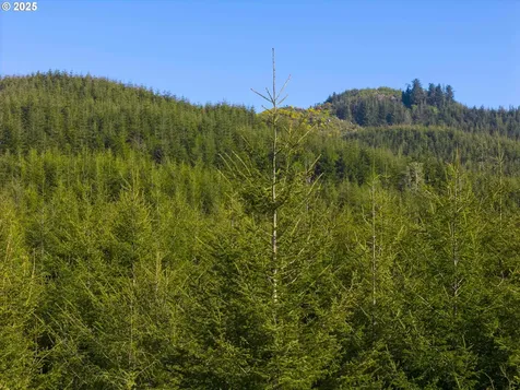 0 Elmer Miller Road Siletz OR 97380