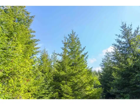 0 Elmer Miller Road Siletz OR 97380