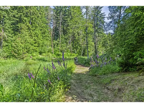 136 Longhorn Road Amboy WA 98601