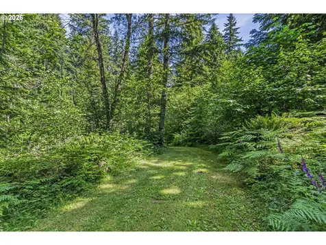 136 Longhorn Road Amboy WA 98601