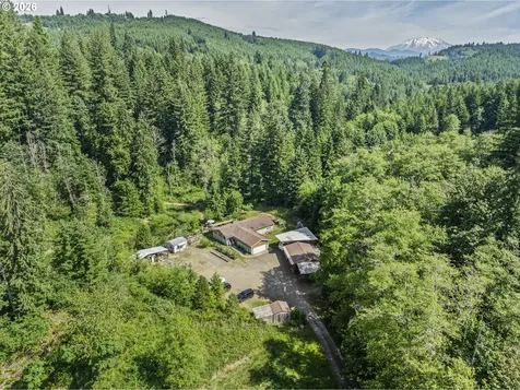 136 Longhorn Road Amboy WA 98601