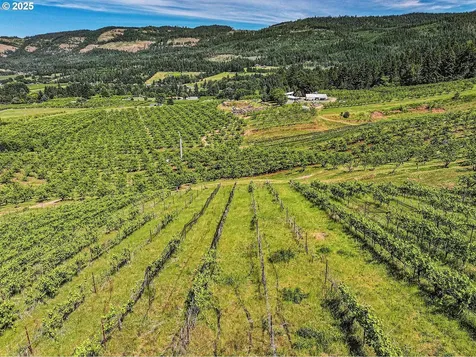3720 Scott Road Hood River OR 97031