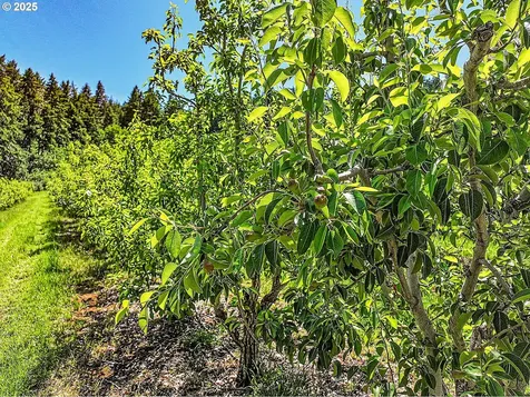 3720 Scott Road Hood River OR 97031
