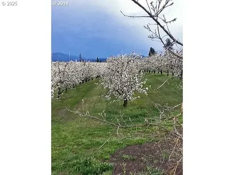 3720 Scott Road Hood River OR 97031