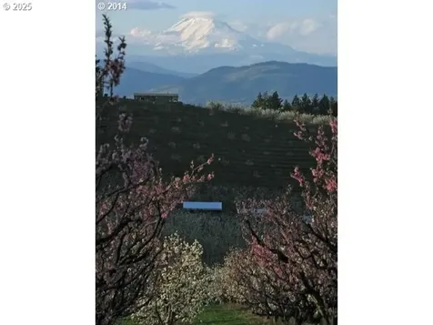 3720 Scott Road Hood River OR 97031