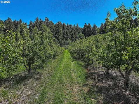 3720 Scott Road Hood River OR 97031