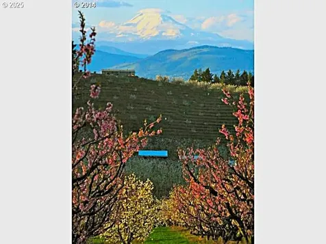 3720 Scott Road Hood River OR 97031