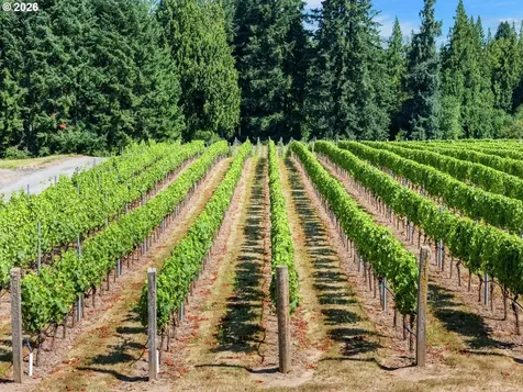 3831 S 16th Way Ridgefield WA 98642