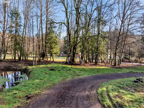27614 NE 434th Street Amboy WA 98601