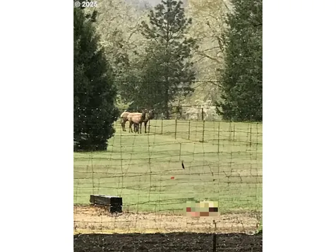 375 Minnesota Boulevard Roseburg OR 97471