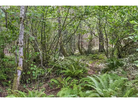 128 Tara Lane Kalama WA 98625
