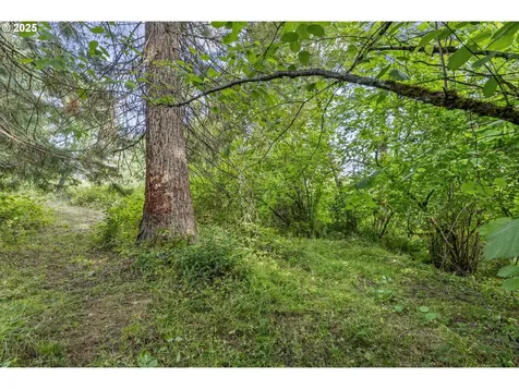 128 Tara Lane Kalama WA 98625