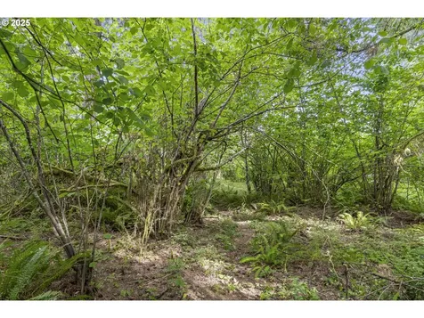 128 Tara Lane Kalama WA 98625