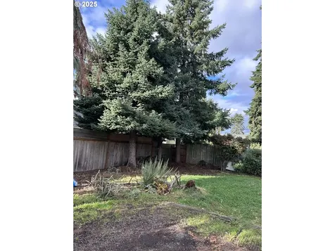 1205 Mill Street Springfield OR 97477
