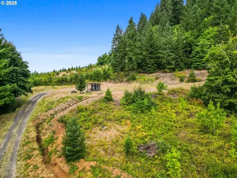 200 Marks Ridge Sweet Home OR 97386