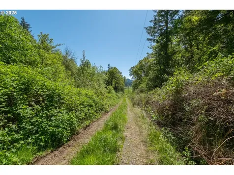 29055 Santiam Terrace Road Lebanon OR 97355