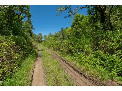29055 Santiam Terrace Road Lebanon OR 97355