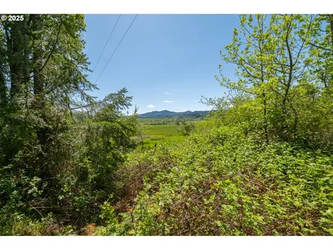 29055 Santiam Terrace Road Lebanon OR 97355
