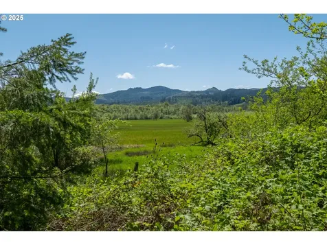 29055 Santiam Terrace Road Lebanon OR 97355