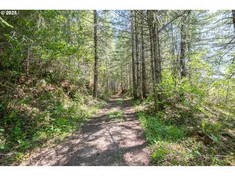29055 Santiam Terrace Road Lebanon OR 97355