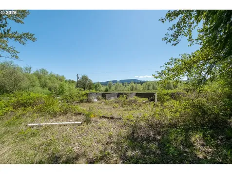 29055 Santiam Terrace Road Lebanon OR 97355