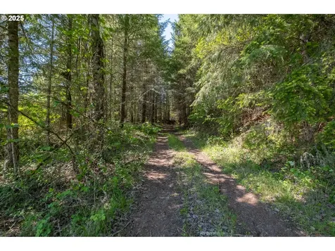 29055 Santiam Terrace Road Lebanon OR 97355