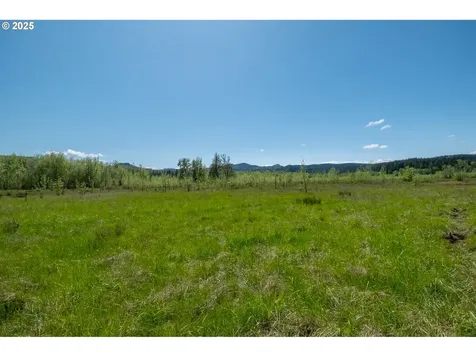 29055 Santiam Terrace Road Lebanon OR 97355