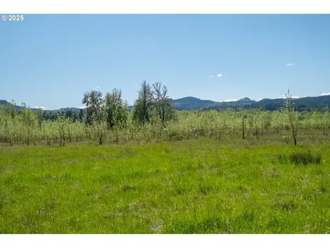 29055 Santiam Terrace Road Lebanon OR 97355