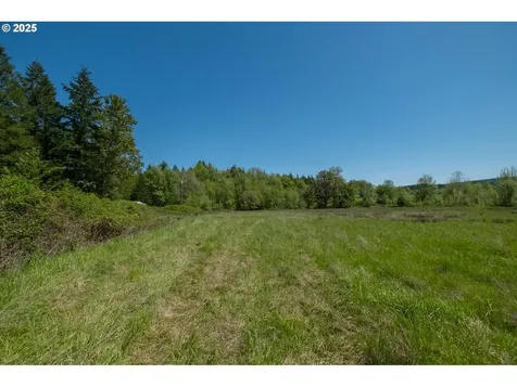 29055 Santiam Terrace Road Lebanon OR 97355