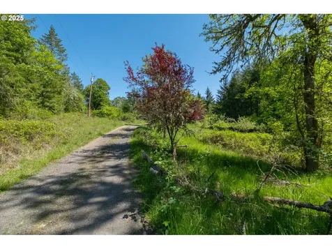 29055 Santiam Terrace Road Lebanon OR 97355