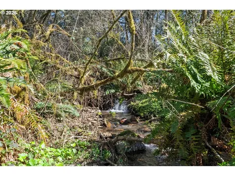21502 NE 269th Street Battle Ground WA 98604