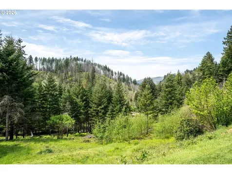 45947 N Gate Creek Road Vida OR 97488