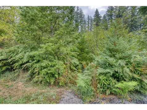 202 Edgewater Drive Carson WA 98610