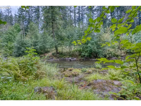 202 Edgewater Drive Carson WA 98610