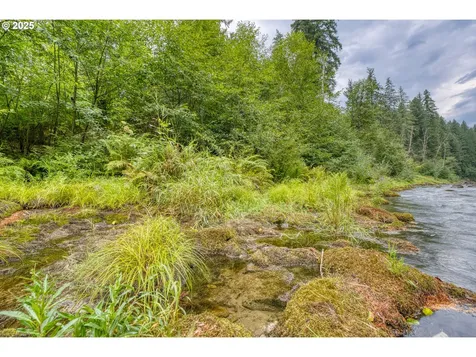 202 Edgewater Drive Carson WA 98610