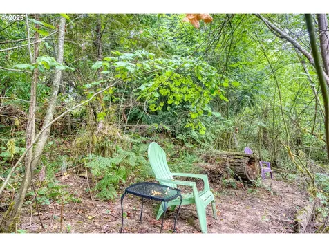 202 Edgewater Drive Carson WA 98610