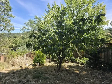 1634 Kendall Street Roseburg OR 97471